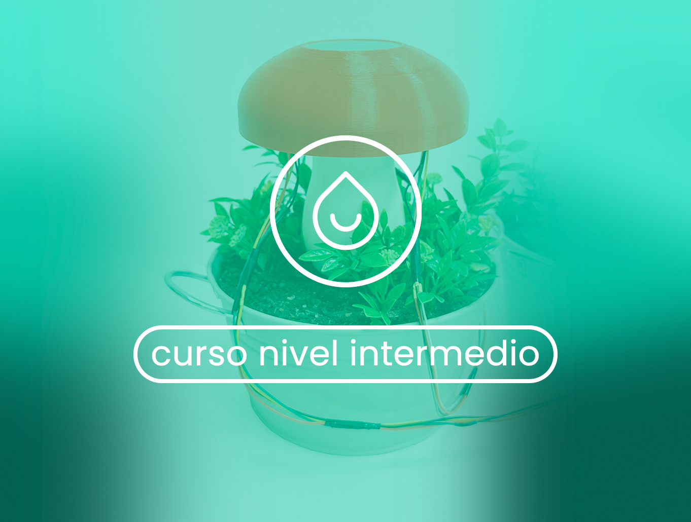 Sistema de Riego Inteligente